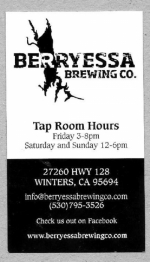 beer business card and similar from Best Day Brewing ( CA-BRSA-BIZ-1 )