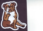 beer sticker from Area TWO ( CT-ALVA-STI-4 )