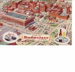 beer postcard from Anthony & Kuhn Brewing Co. ( MO-AB-POS-7 )