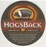 beer coaster from Hogtown Brewers ( ON-HOGB-1 )