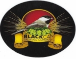 beer sticker from Black Forest Brewery ( PA-BKCA-STI-1 )